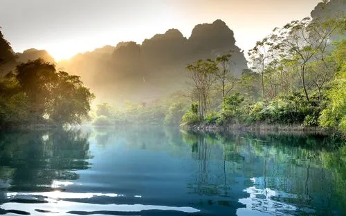 高效电子高标准